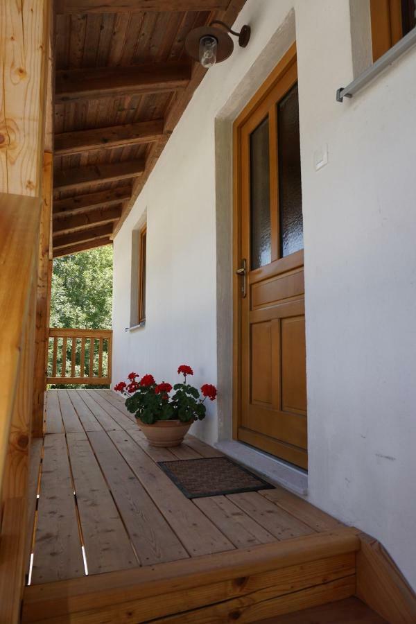 Ecohouse Furlan - Apartment Pinja Кобарід Екстер'єр фото